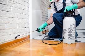 Best Pest Prevention Services  in Jacinto City, TX